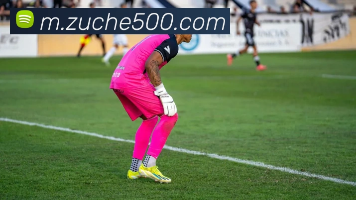 500彩票品牌故事